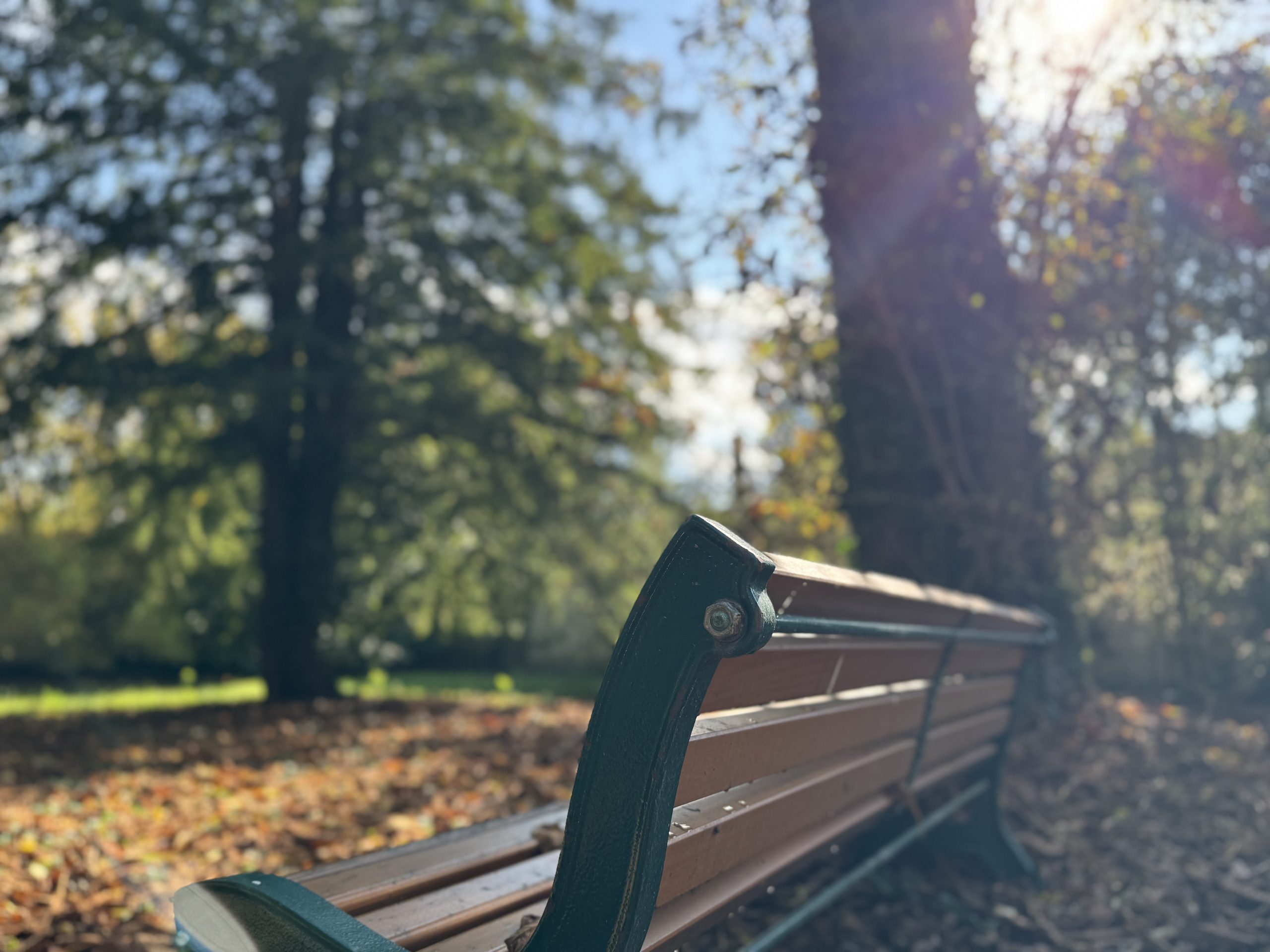 La nature au coeur d’une cité impériale